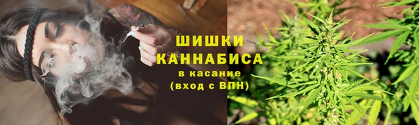 дмт Алзамай