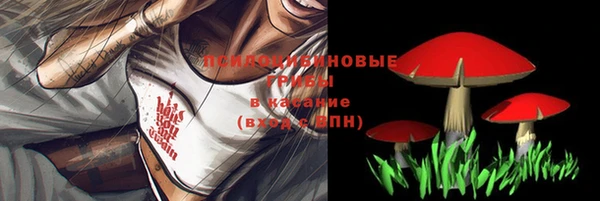ALPHA PVP Алексин