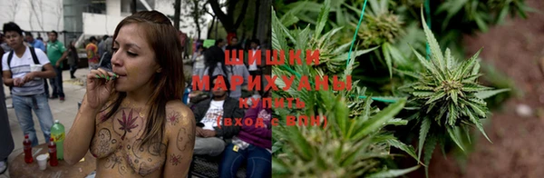 дмт Алзамай