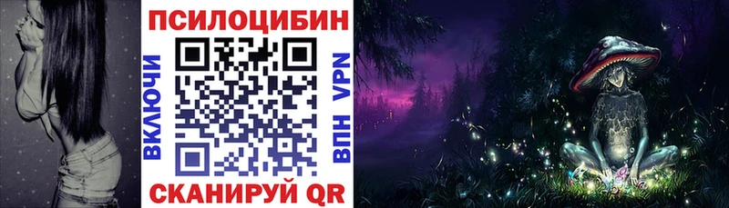 Псилоцибиновые грибы Psilocybine cubensis  Ртищево 